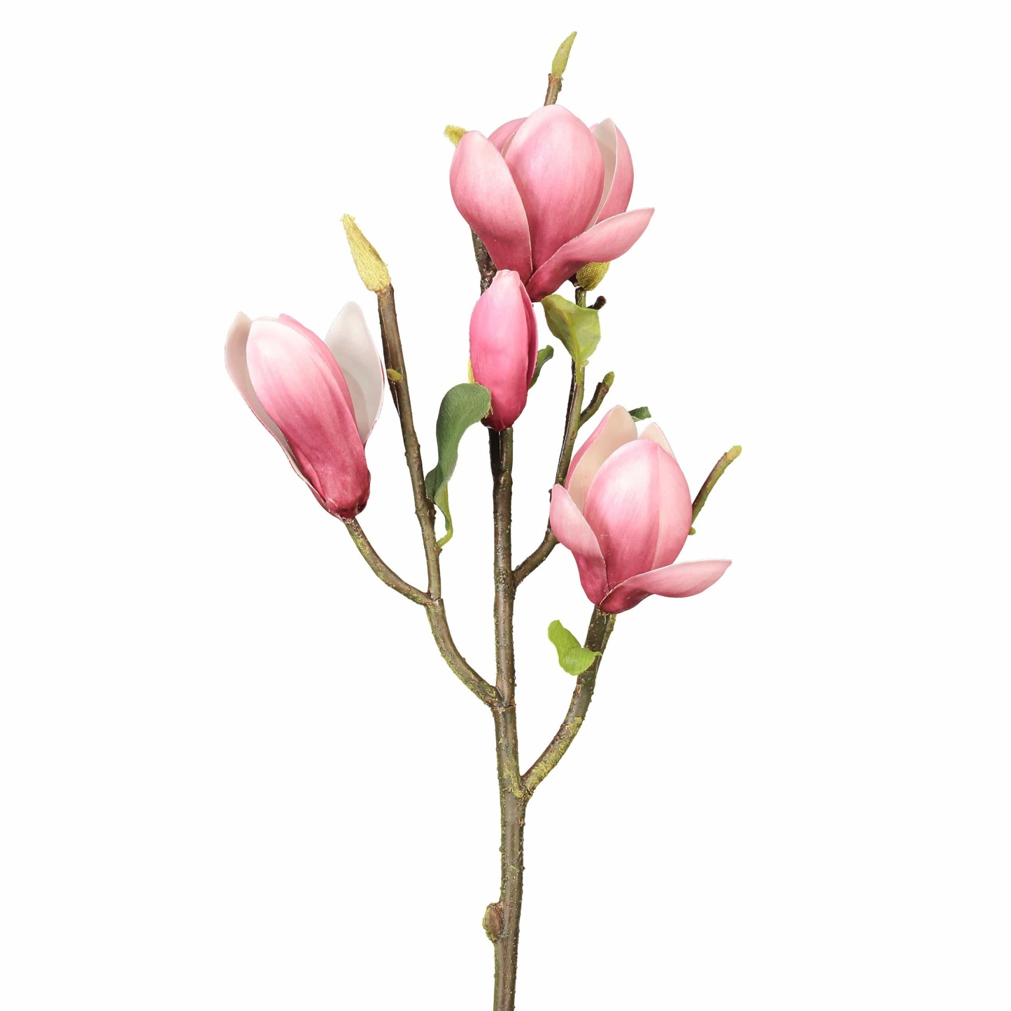 Fuschia Magnolia Tulip 20"-xinru shop