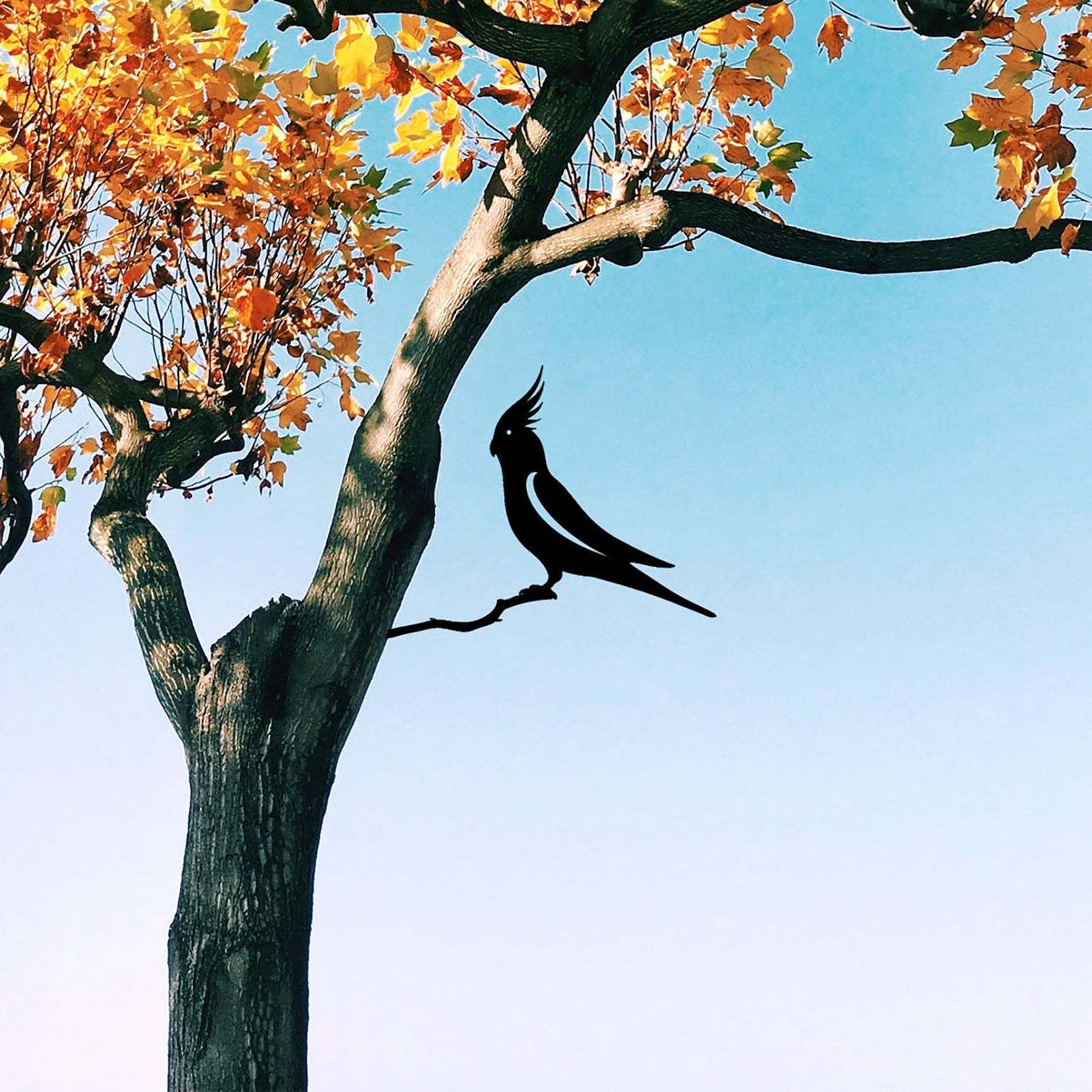 Parrot Metal Sculpture Decoration love Birds Metal Decoration-xinru