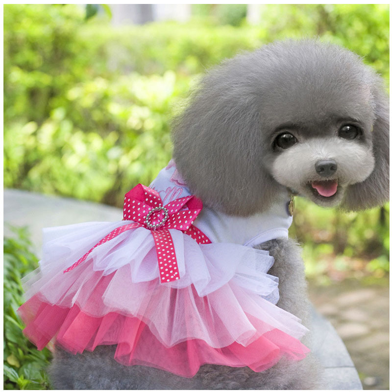 Lovely Princess Dog Dress | Dog Clothes-xinru