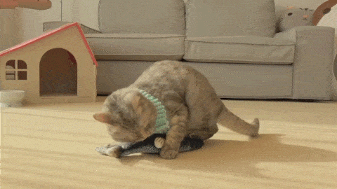 Want To Treat Your Cat? The FIRST Fish Kicker That Moves On Its Own! | Cat toys, Fish cat toy, Cats