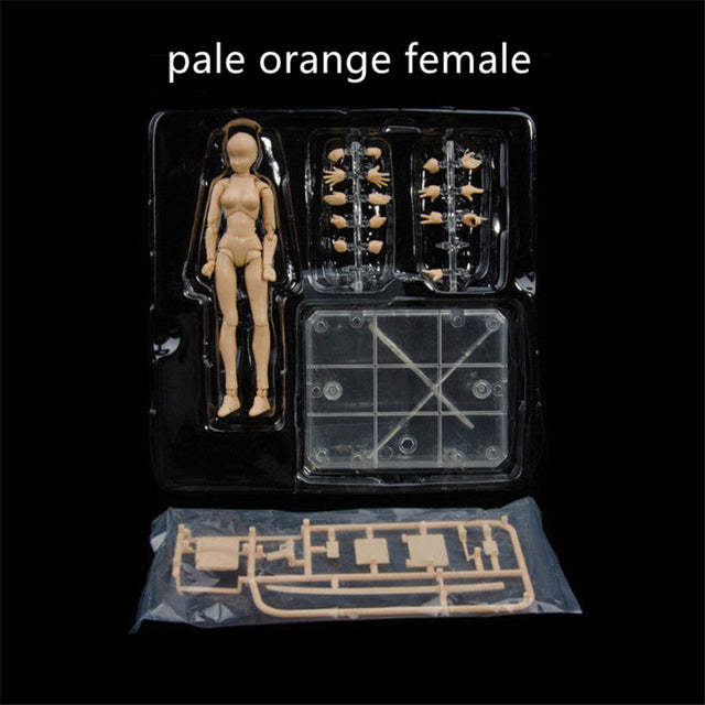 Anime Action Figure Toy Body Kun Body Chan Collectible-xinru