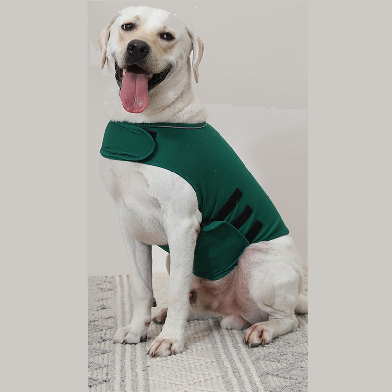 Thunder Jacket for Dogs | Anxiety Jacket for Dogs-xinru