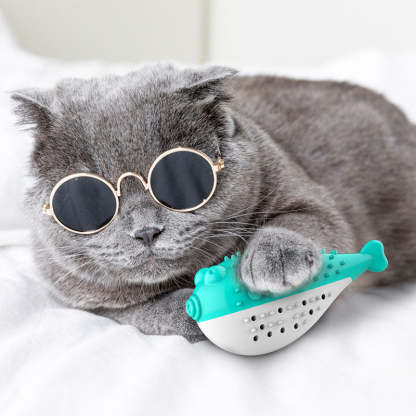 Puffer Fish Toothbrush With Sound Cats Toys-xinru