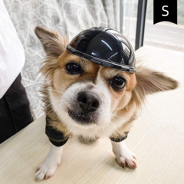 Pet helmet-xinru shop