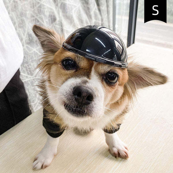 Pet helmet-xinru shop