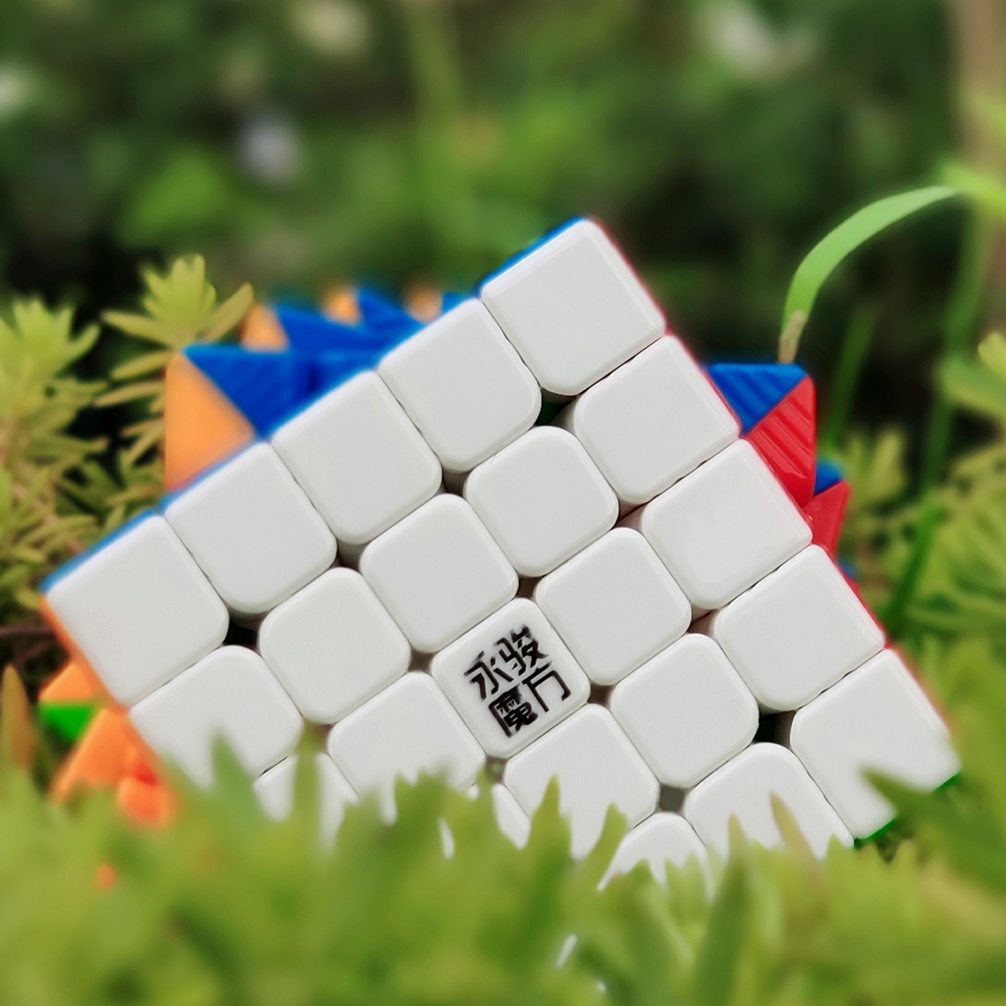 YJ ZhiLong Mini 5x5 M-xinru shop