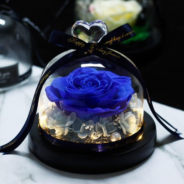 Mother's Day Gift Immortal Enchanted Rose Glass Heart Dome-xinru