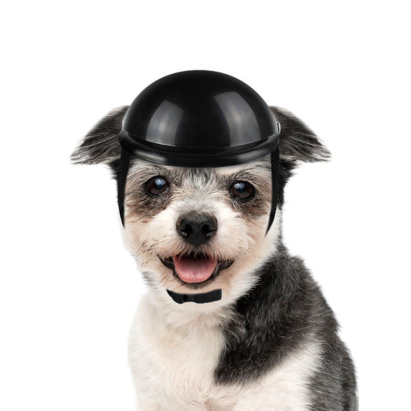Pet helmet-xinru shop