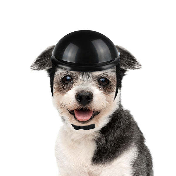 Pet helmet-xinru shop
