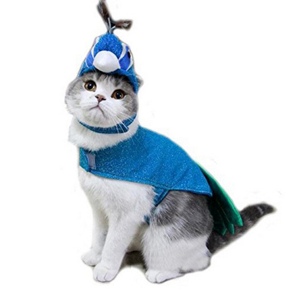 Animal Planet Peacock Dog Costume | Best Small Dog Costume-xinru