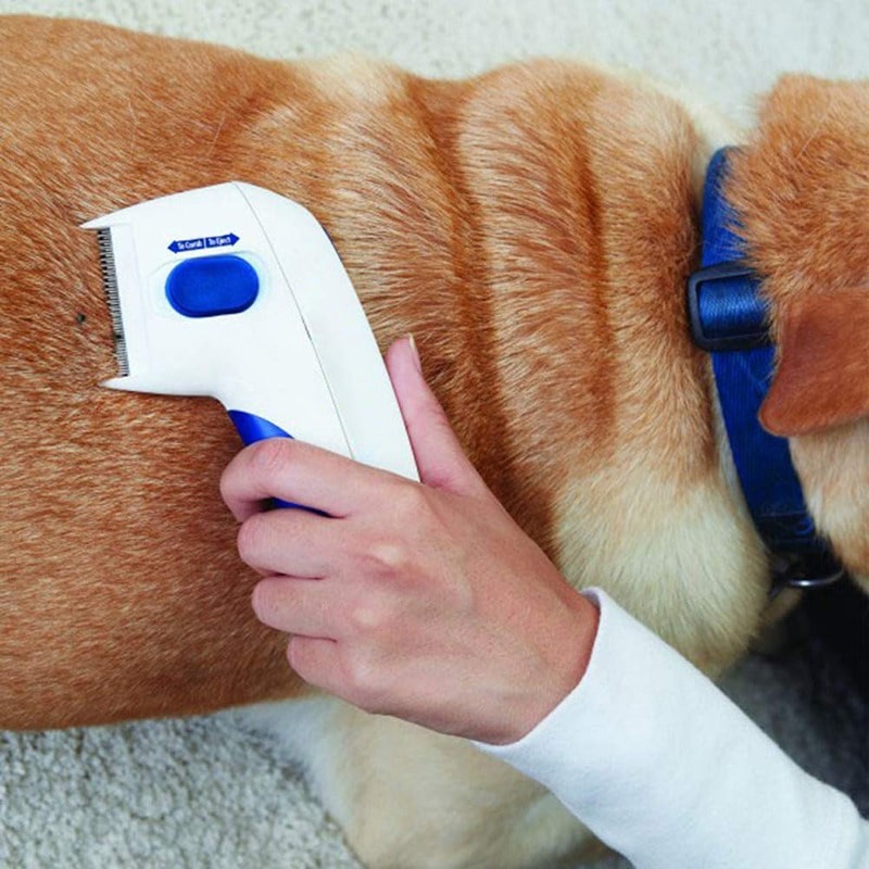 Cat Dog Electric Flea Comb Pet Flea And Tick Grooming Removal Tool-xinru
