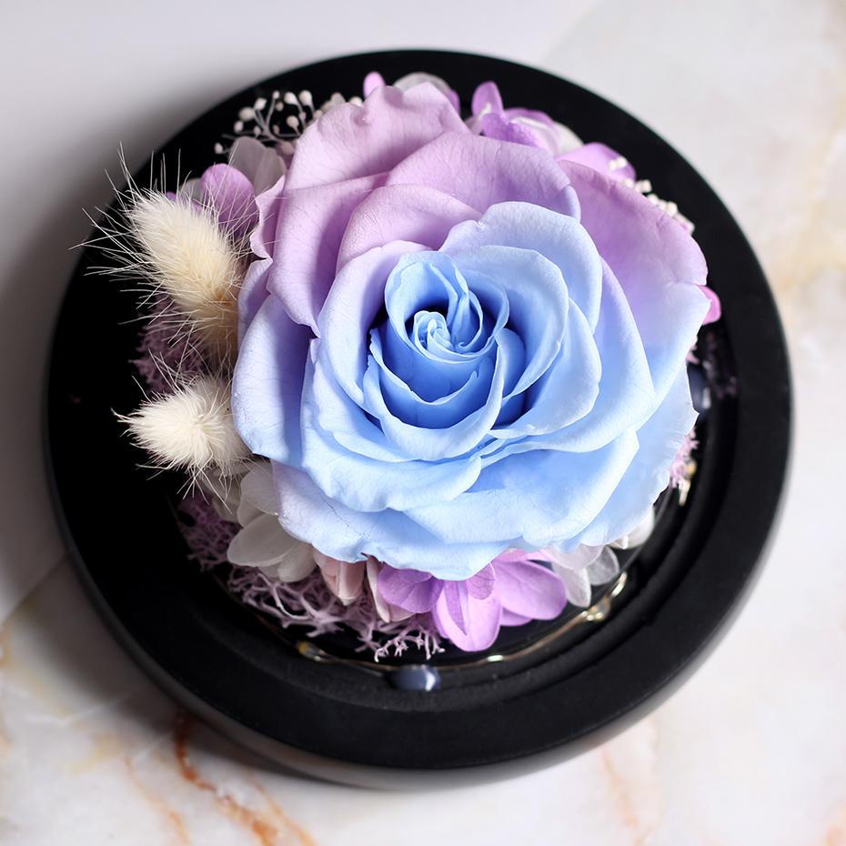 Mother's Day Gift Immortal Enchanted Rose Glass Heart Dome-xinru