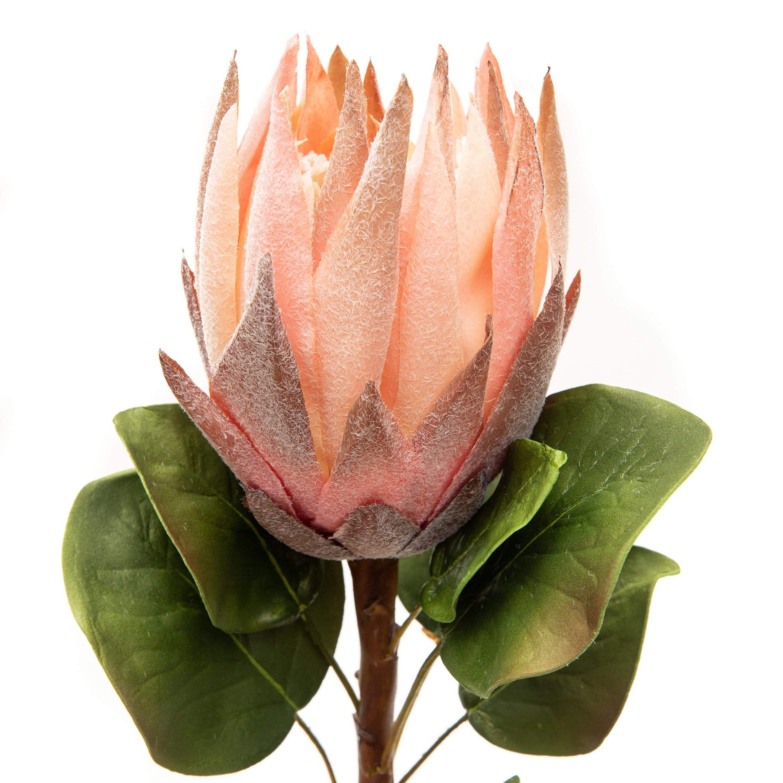 Artificial Pink King Protea 23.5"-xinru shop