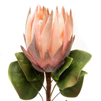 Artificial Pink King Protea 23.5"-xinru shop