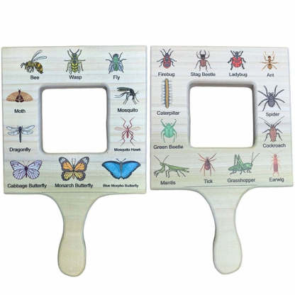 Nature Guide Finder Homeschooling Materials For Kids-xinru