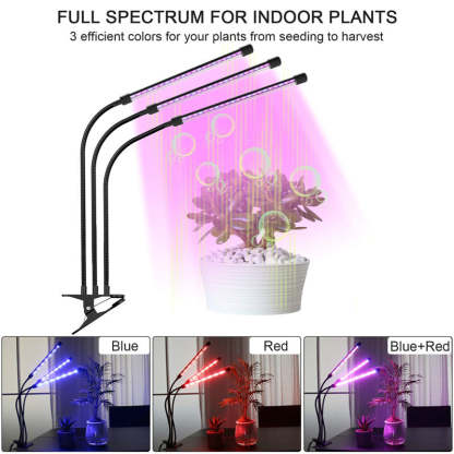 Auto ON And Off Timer LED Plant Grow Light For Indoor Plant-xinru