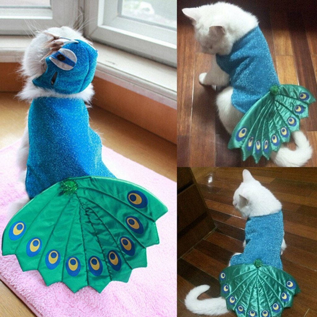 Animal Planet Peacock Dog Costume | Best Small Dog Costume-xinru