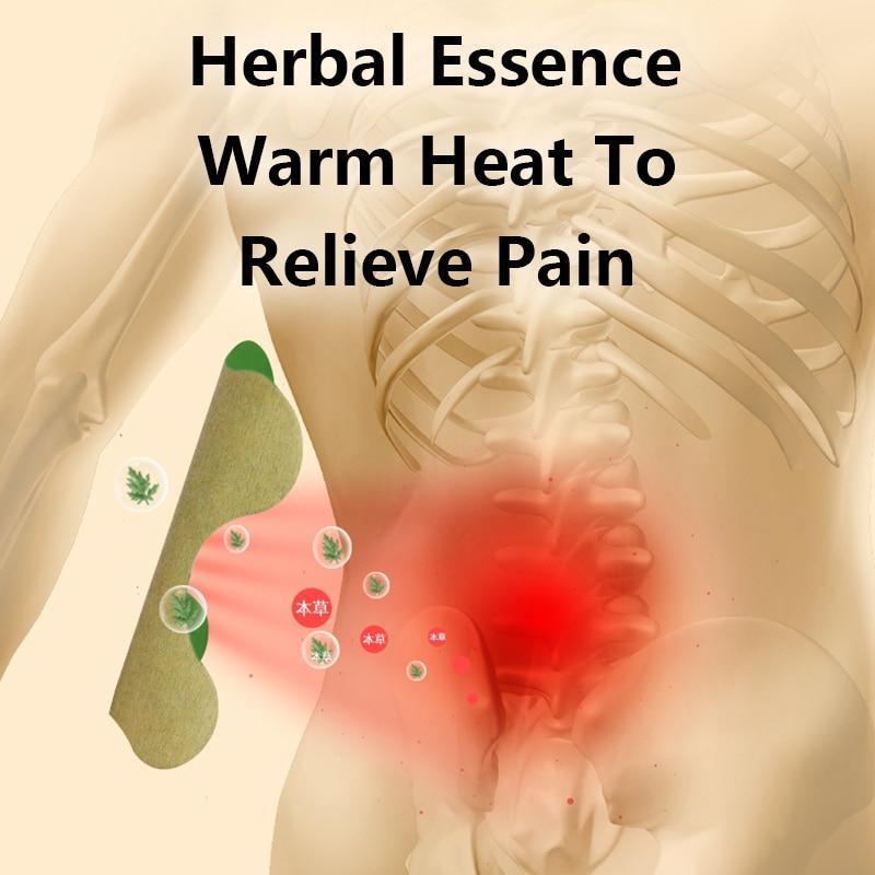 Natural Back Pain Relief Kit-xinru shop