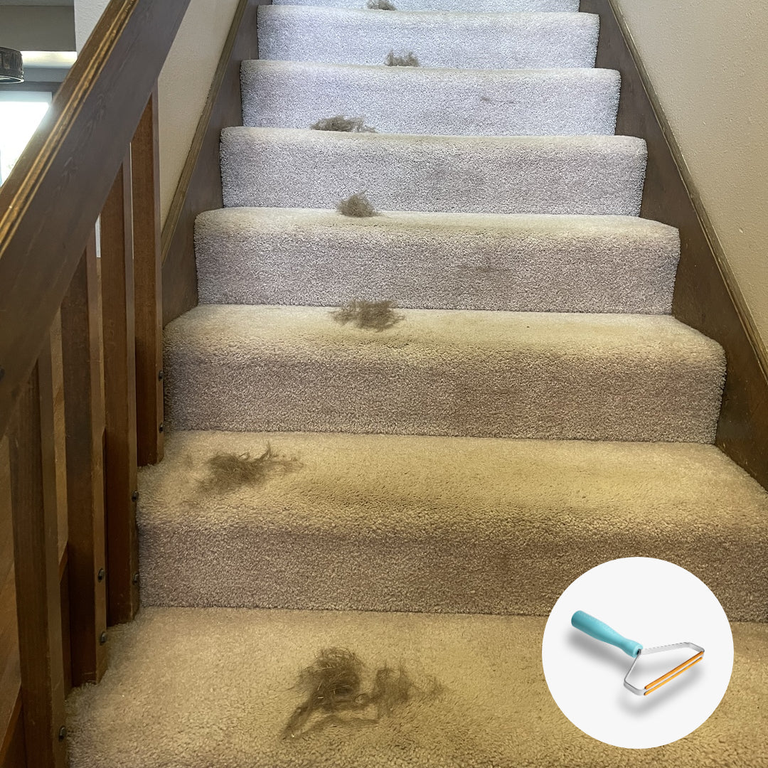 Sofa Carpet Pet Hair Cleaner-xinru shop