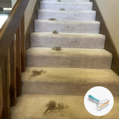 Sofa Carpet Pet Hair Cleaner-xinru shop