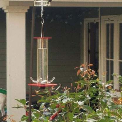 Besst Peter's Hanging Cylindrical Bird Feeder-xinru