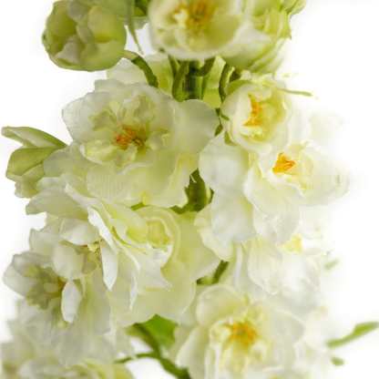 Artificial White Delphinium 49"-xinru shop