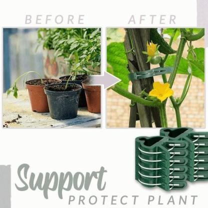 20 Reusable Fixed Plant Support Clip Garden Spring Tools-xinru