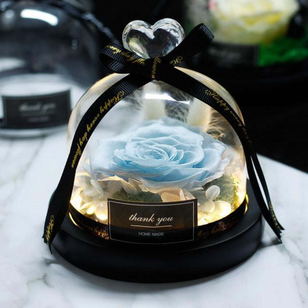 Mother's Day Gift Immortal Enchanted Rose Glass Heart Dome-xinru