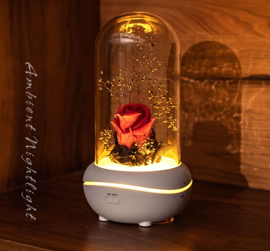 Rose Rechargeable LED Night Light Aroma Diffuser  Aromatherapy Oil  Diffuser-xinru