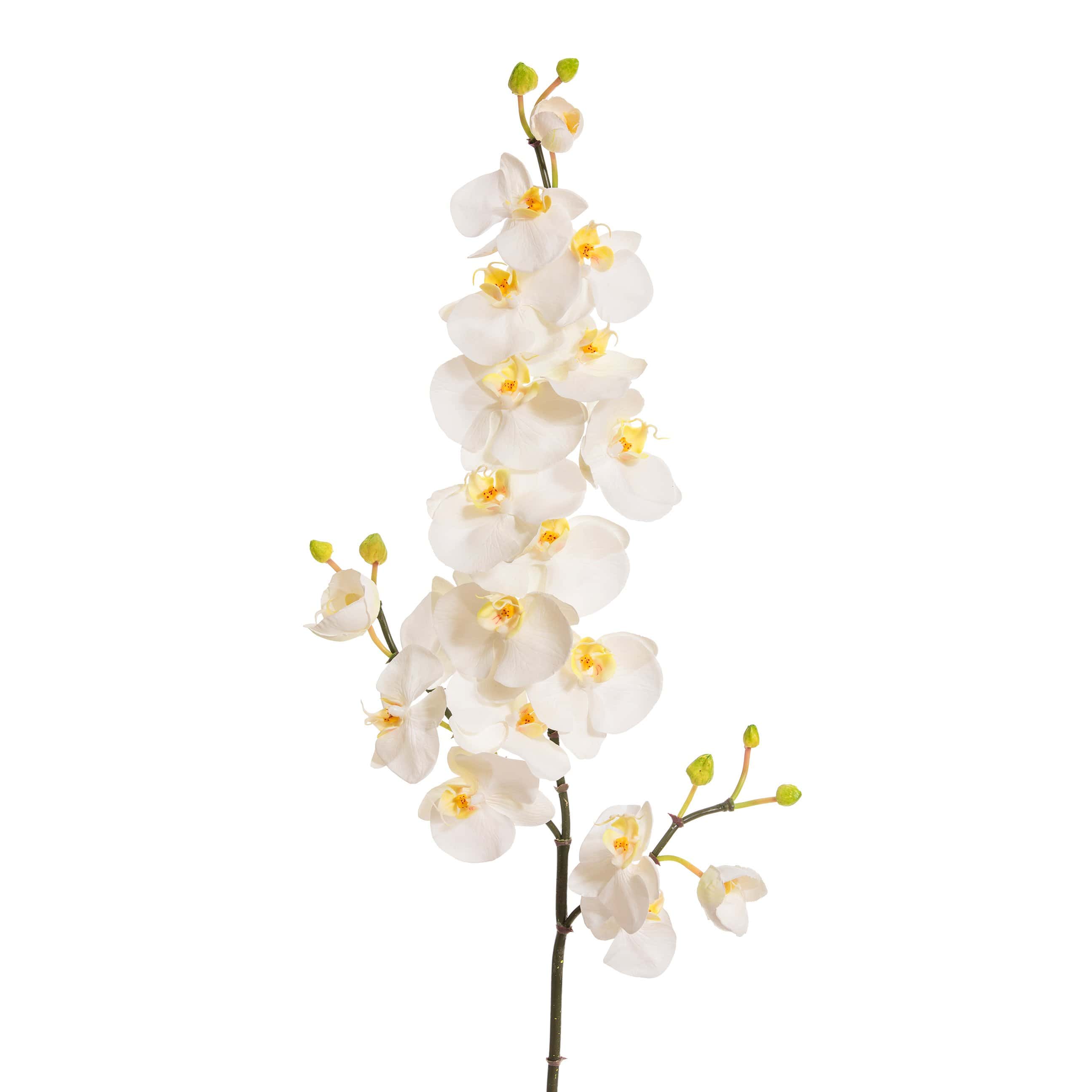 Artificial White Spray Orchid Phalaenopsis 42"-xinru shop
