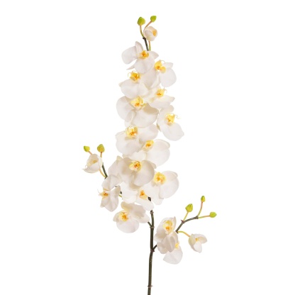 Artificial White Spray Orchid Phalaenopsis 42"-xinru shop