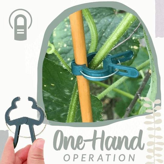 20 Reusable Fixed Plant Support Clip Garden Spring Tools-xinru