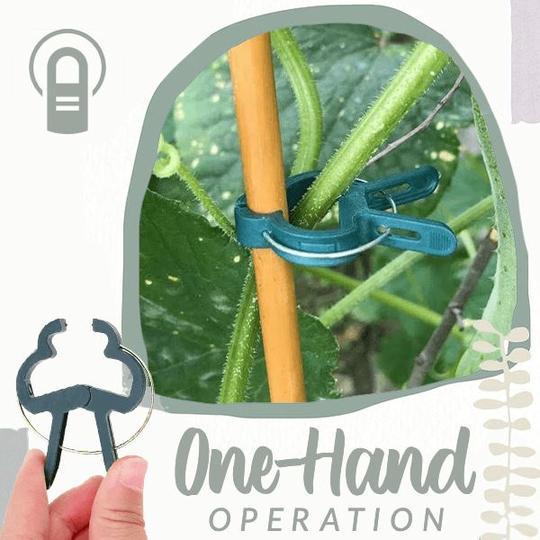 20 Reusable Fixed Plant Support Clip Garden Spring Tools-xinru
