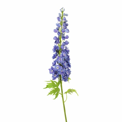 Artificial Blue Delphinium 49"-xinru shop