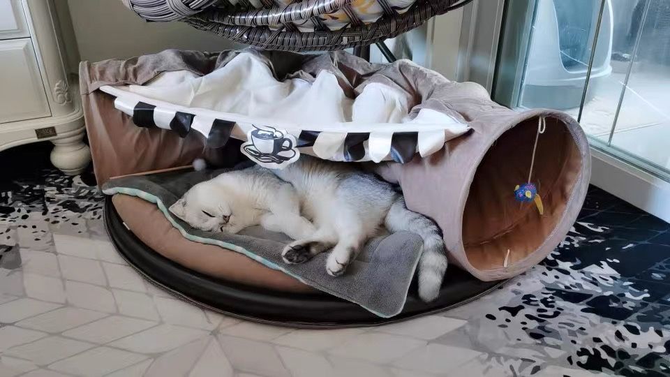 Cat Cave Bed Foldable Cat Toys-xinru shop