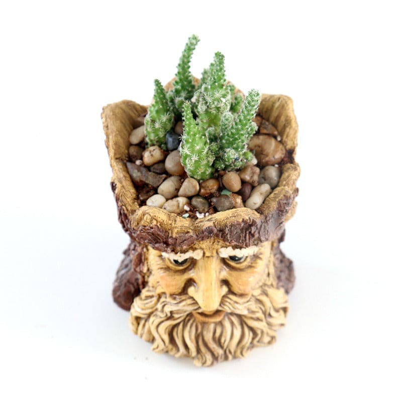 Whimsical Tree Face Garden Flowerpot-xinru