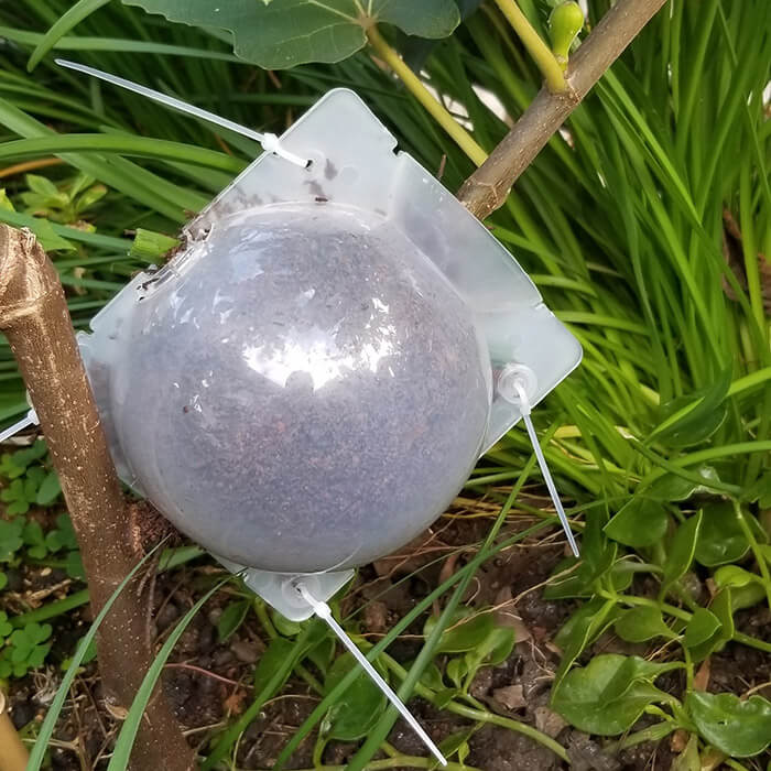 Reusable Air Layering Propagation Balls-xinru