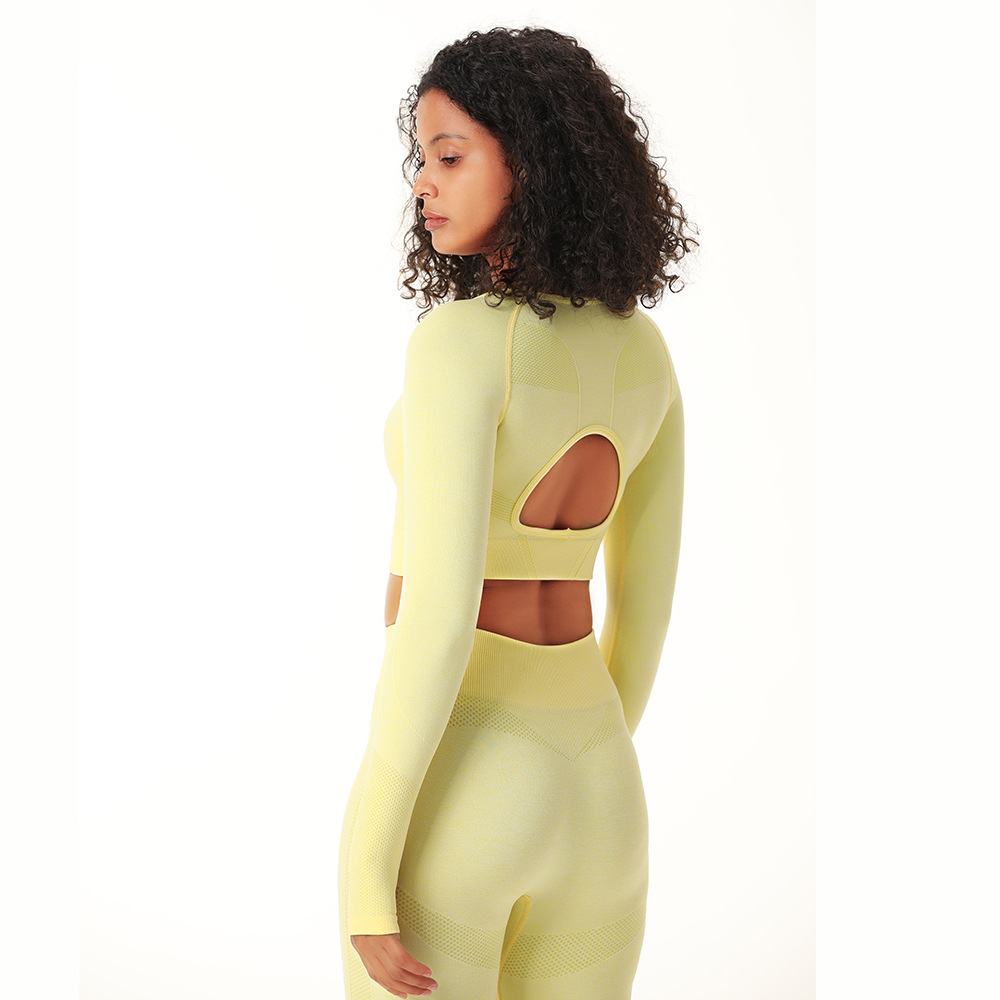 Women's Sports Running Hollow Workout Clothes Solid Color Yoga Clothes Long Sleeve Yoga Suit-xinru shop