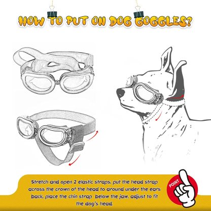 Pet Goggles-xinru shop