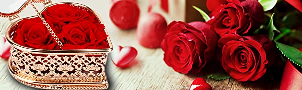 red rose