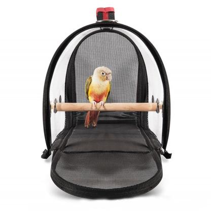 Bird Transparent Travel Take-out Breathable Parrot Handbag-xinru