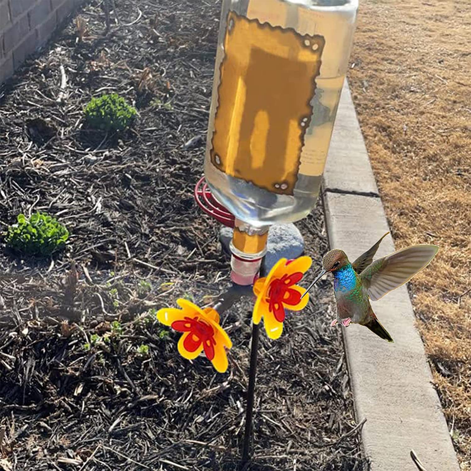 Turn Recycled Bottles Into Hummingbird Feeder Flower Kits-xinru