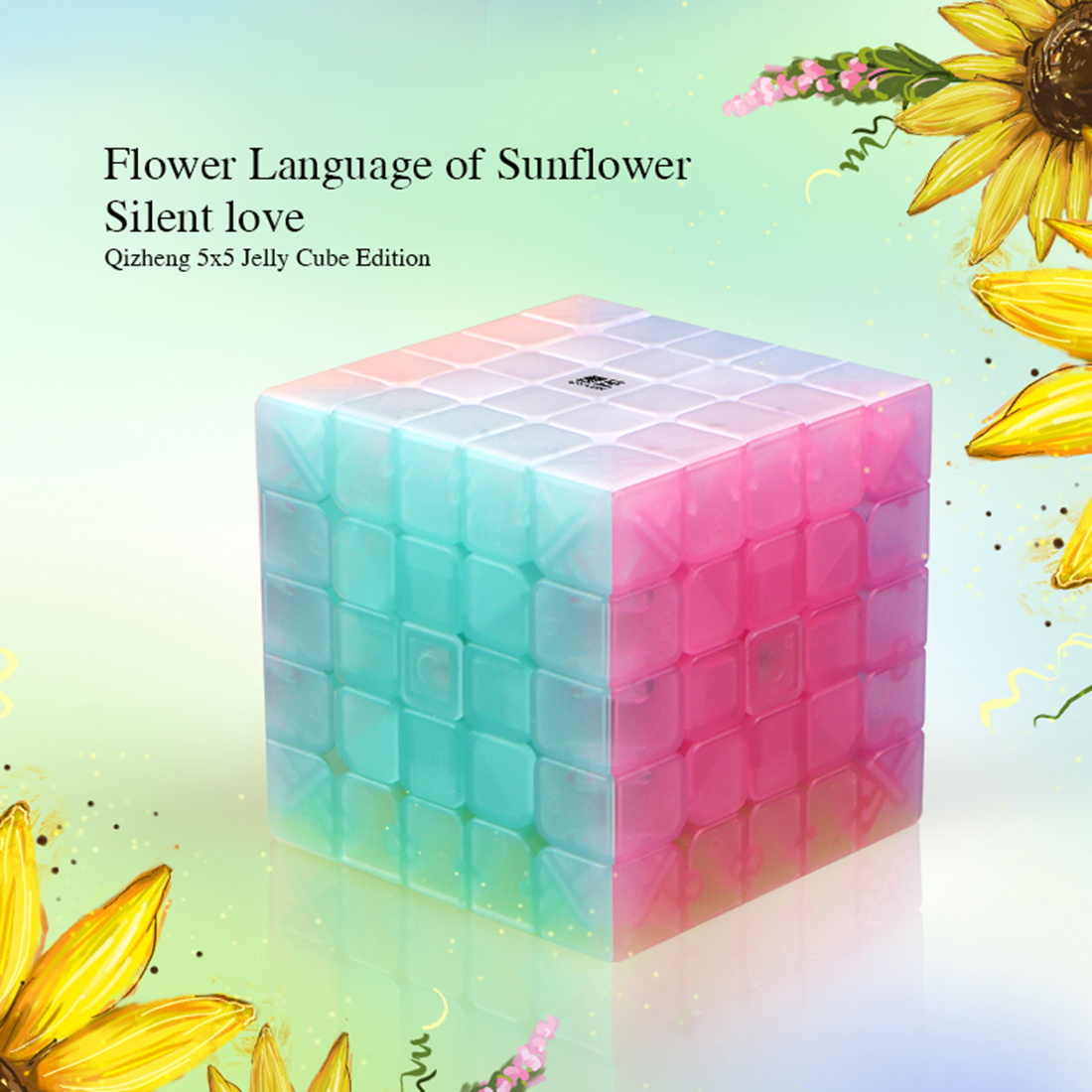QiYi QiZheng S Jelly 5x5-xinru shop
