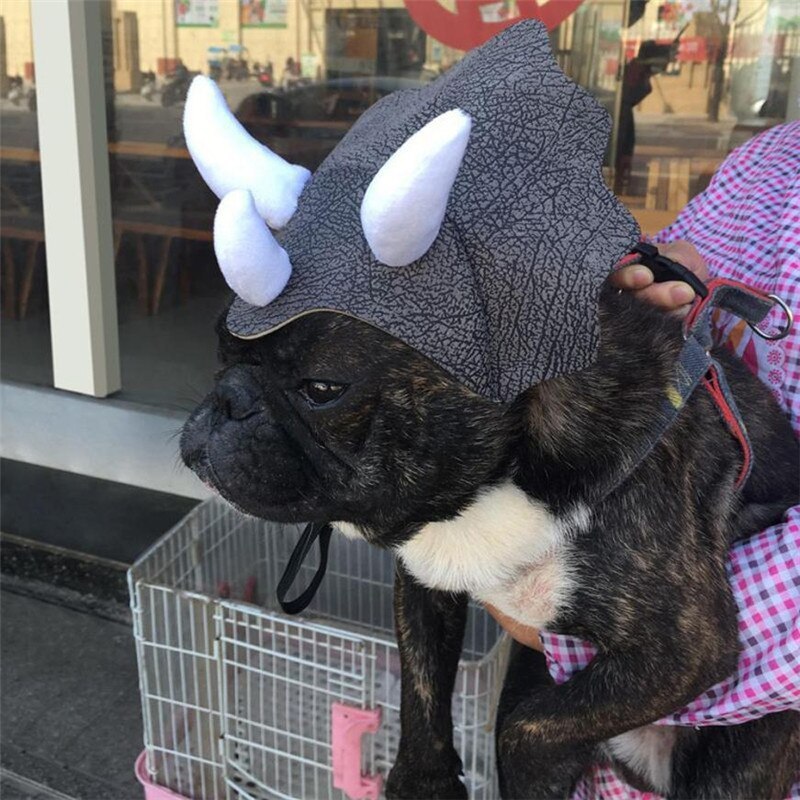 Triceratops Dog Costume Black | Dog Dinosaur Costume | Dog Costume-xinru