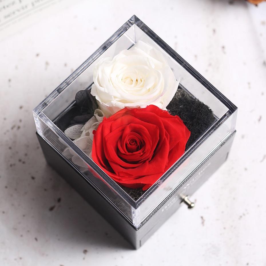 Immortal Preserved Rose Teddy Bear Box Display-xinru