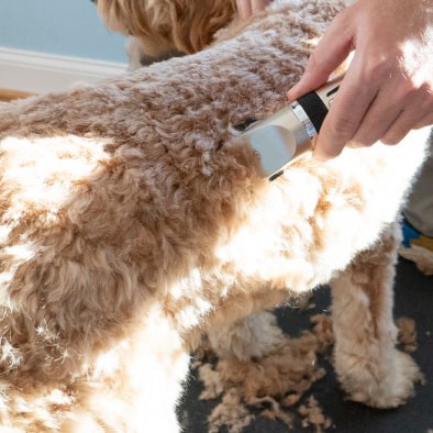 Cordless Electric Pet Cat Dog Hair Trimmer Grooming Kit-xinru