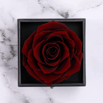 Mother's Day Gift Rose I Love You Necklace In 100 Languages-xinru