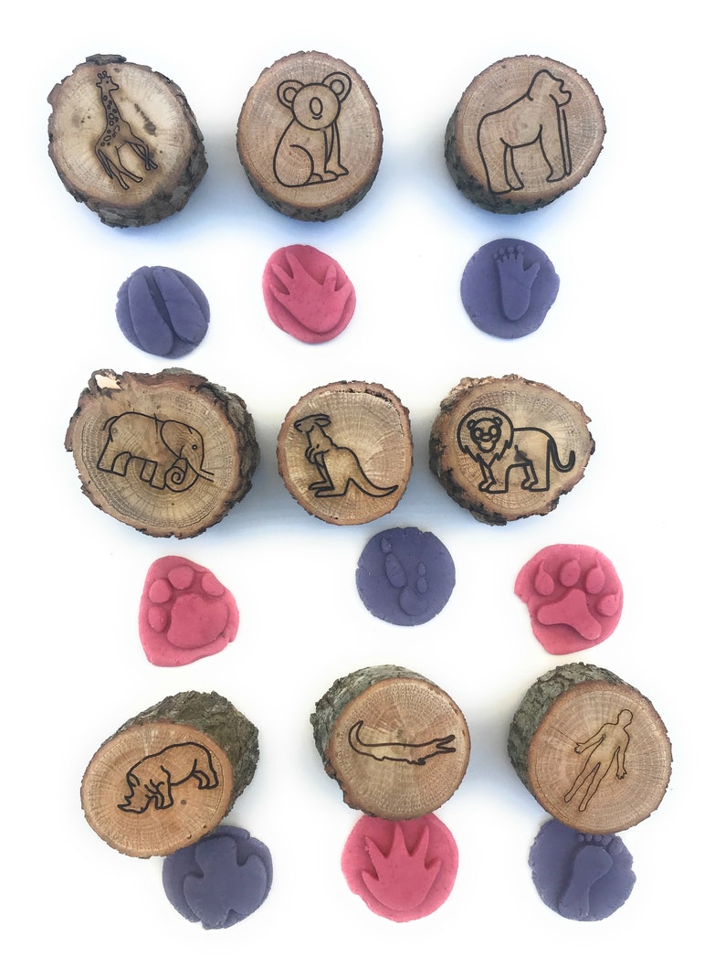 9 Pieces Animal Tracks Playdoh Stamps Set-xinru