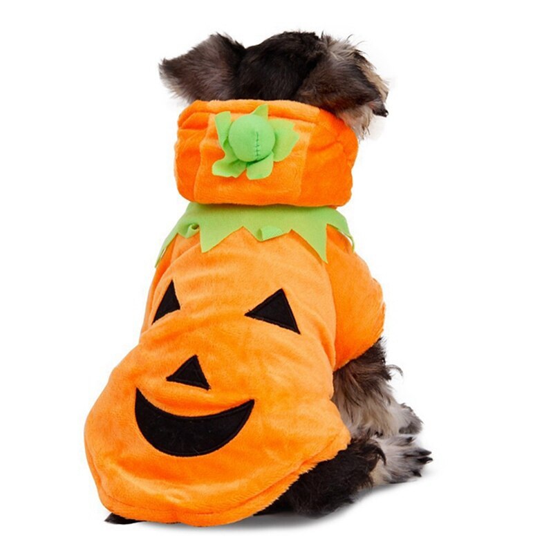 Pumpkin Dog Costume | Dog Halloween Costumes | Cat Halloween Costumes-xinru