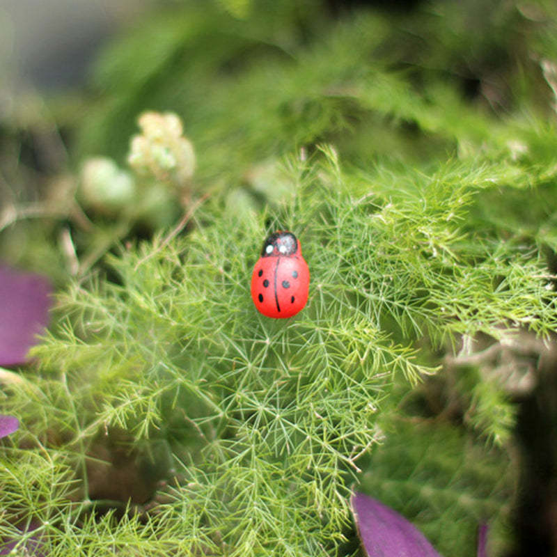 Mini Ladybird Red Beetle Ladybug Fairy Doll House Garden Decor Ornament-xinru